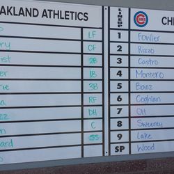 A spring-training tradition: the lineup whiteboard - 