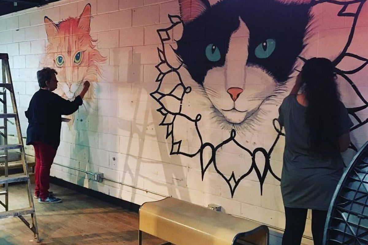 A mural of a cat being painted at Java Cats Cafe.