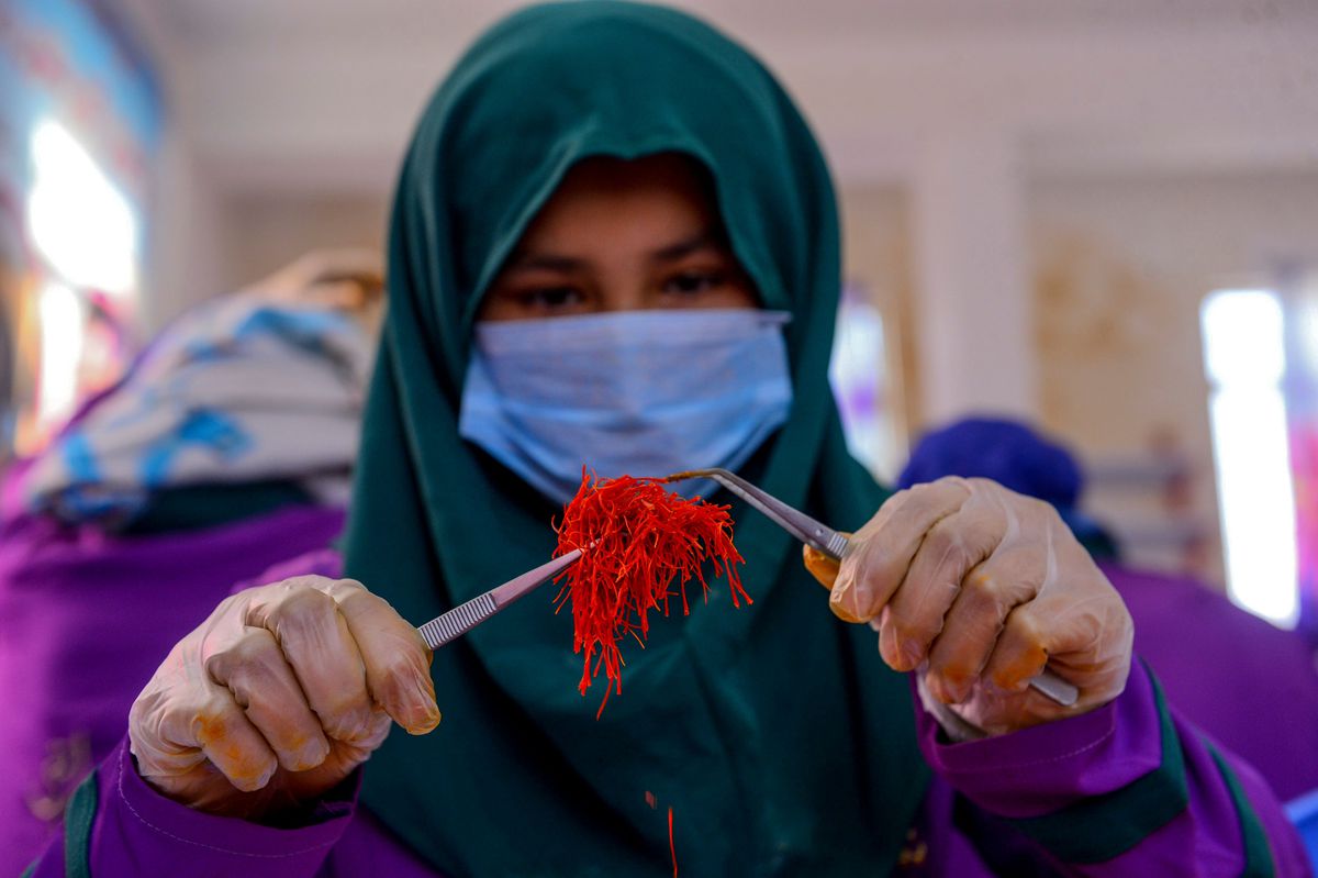 A worker sorts saffron at a cleaning center in Herat province&nbsp;of Afghanistan in 2019.