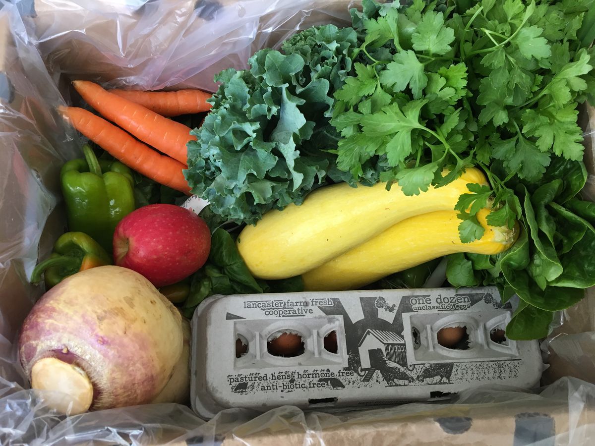 A box with a brown egg carton, turnip, peppers, carrots, squash, and other veggies