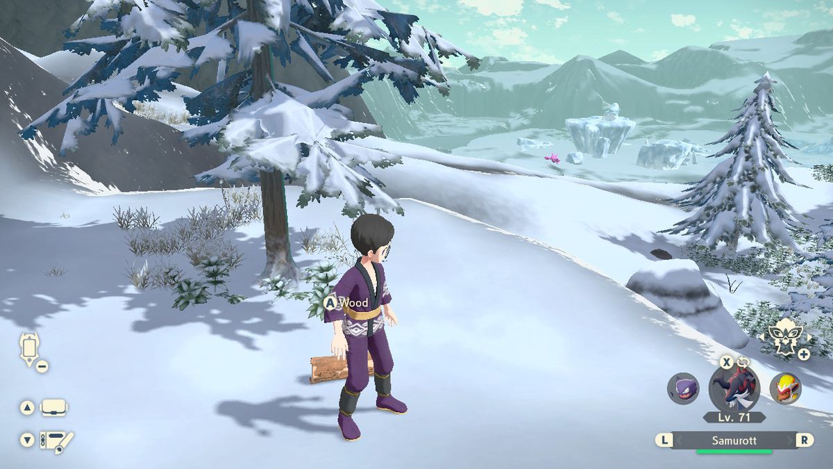 A trainer picking up a piece of wood in the Alabaster Icelands in Pokémon Legends: Arceus