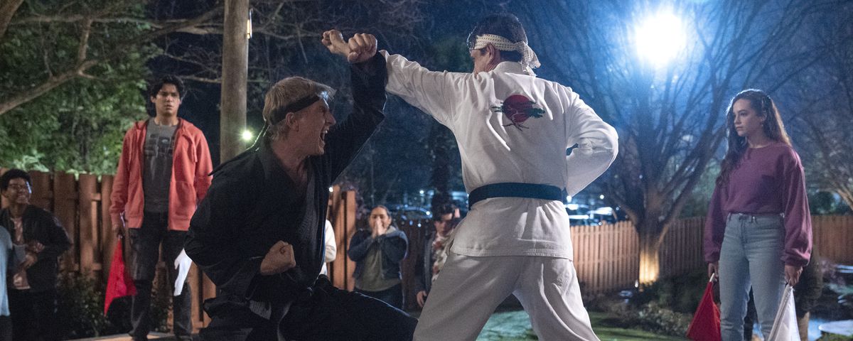 Daniel and Johnny fighting in Cobra Kai as adults