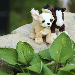 Two small stuffed animals rest on a rock as friends and neighbors react Friday, June 12, 2015, in Provo to news that Charles Mark Openshaw, his wife, Amy, and two of their children, Tanner and Ellie, were killed in a plane crash on take off from their family property in western Texas County, Missouri. A third child, Max, was hospitalized in critical condition.