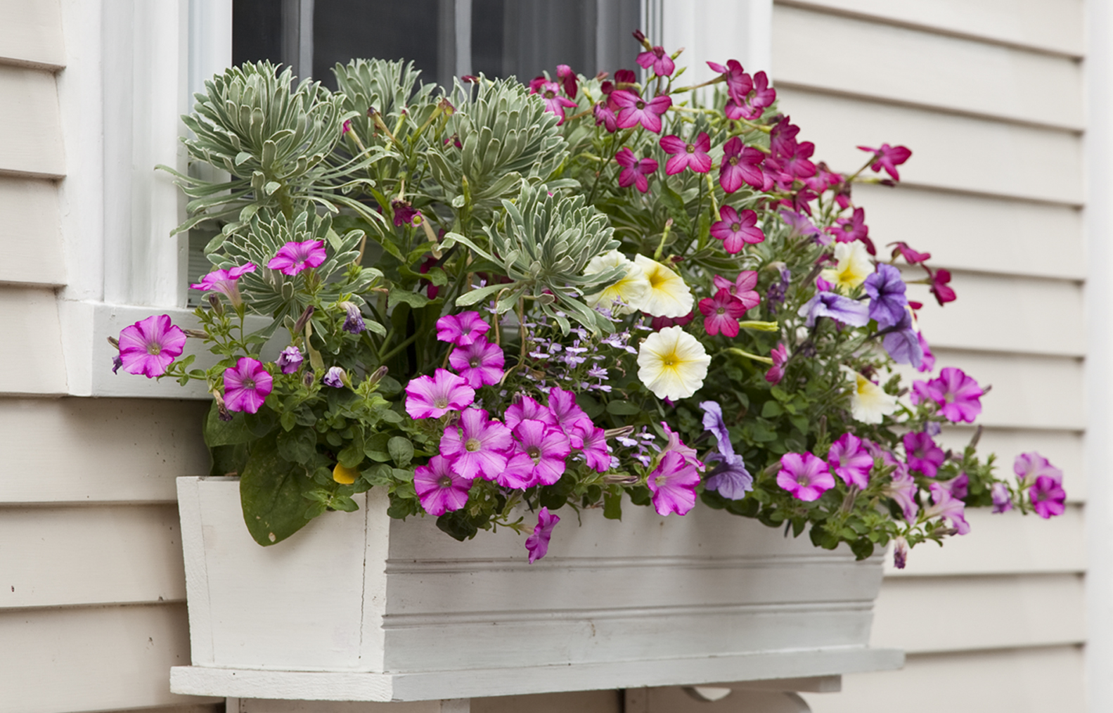Window Planter Boxes: How to Create Beauty & Balance