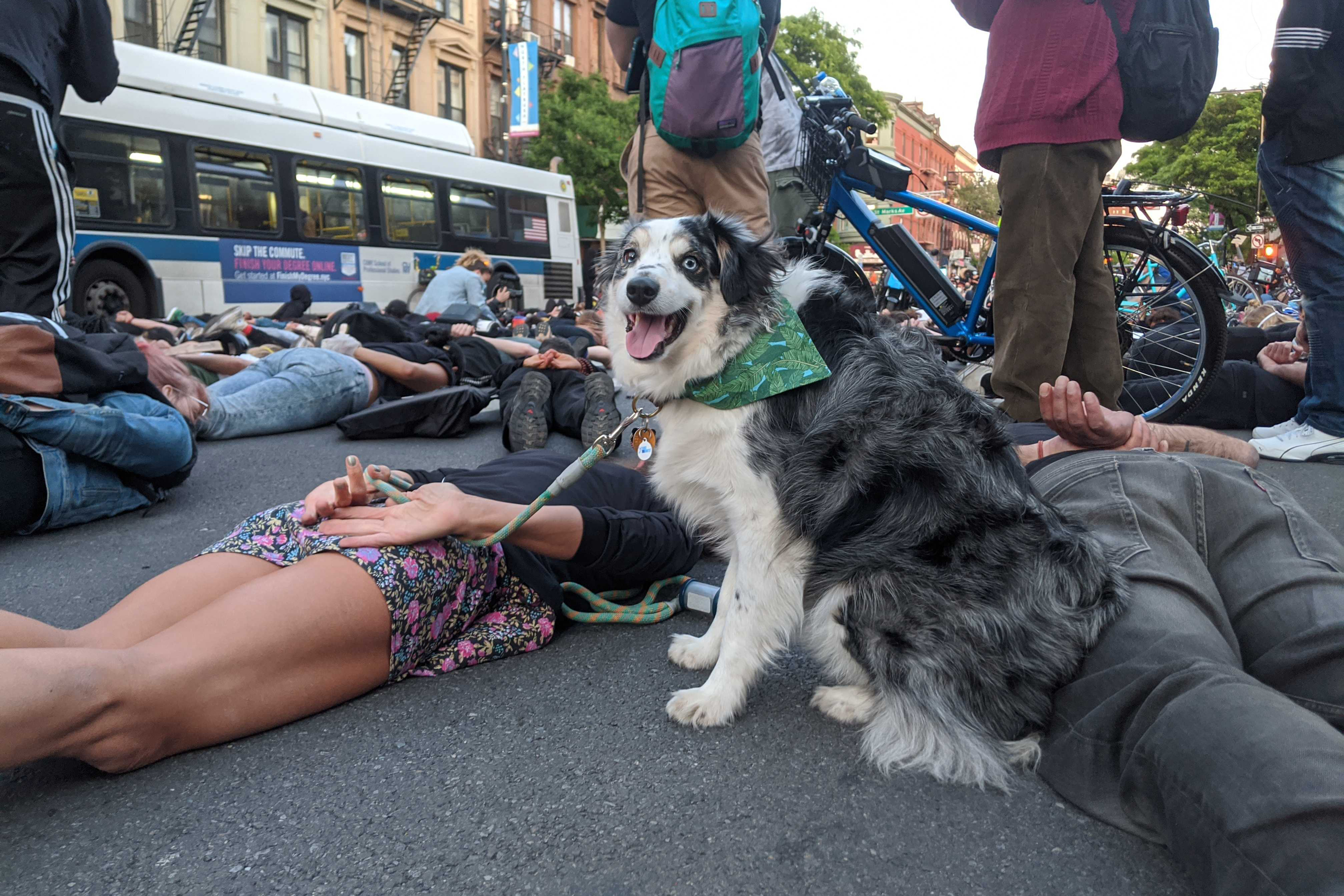 Sarah Green, left, lays with protesters on Flatbush Avenue on Sunday night, joined by her dog, Harlem, May 31, 2020.