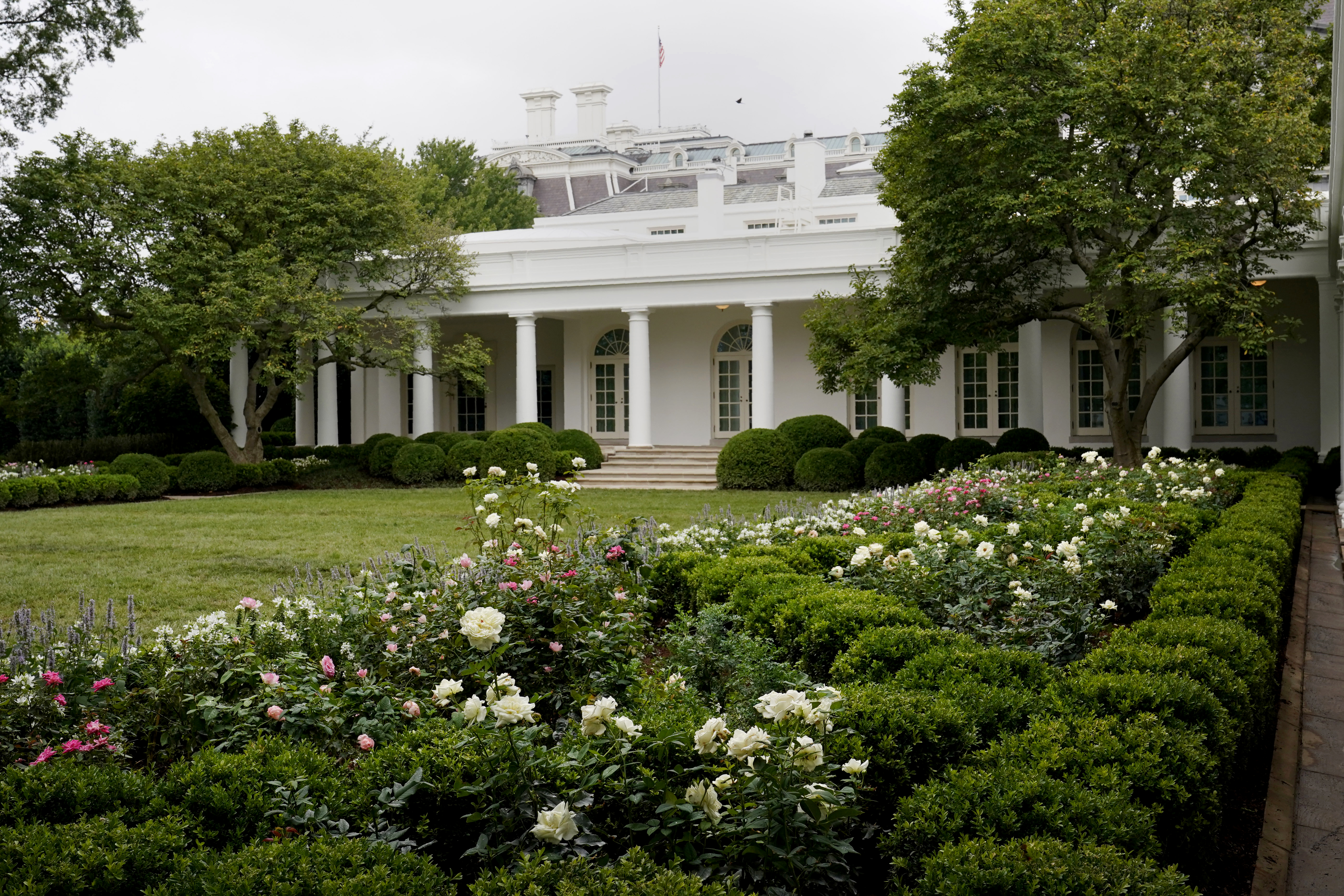 White House Rose Garden Renovation Newly Spruced Up Garden Set For First Lady Speech Chicago Sun Times