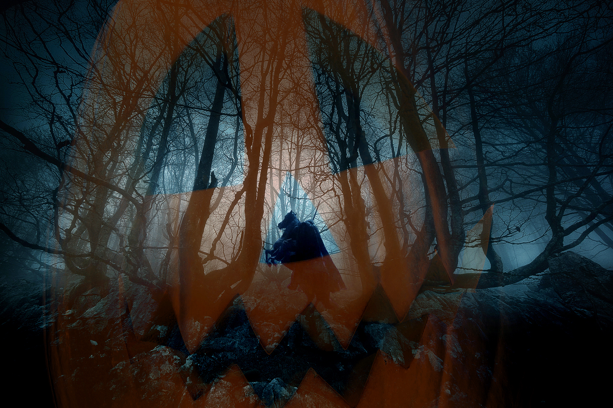 Spooky dark woods with a misty halloween pumpkin