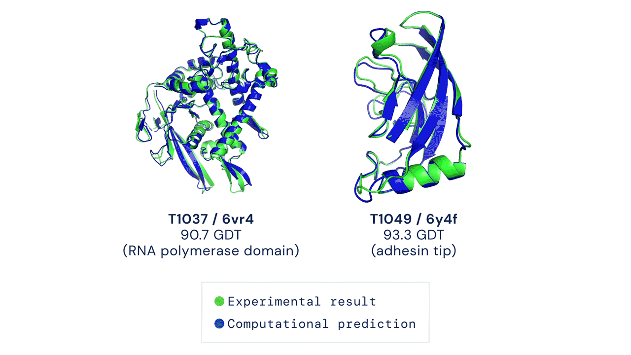A gif of two rotating protein fold models made up of curls and swirling lines. AlphaFold’s predictions are overlayed on the models, with 90.7 GDT accuracy on the left and 93.3 GDT accuracy on the right.