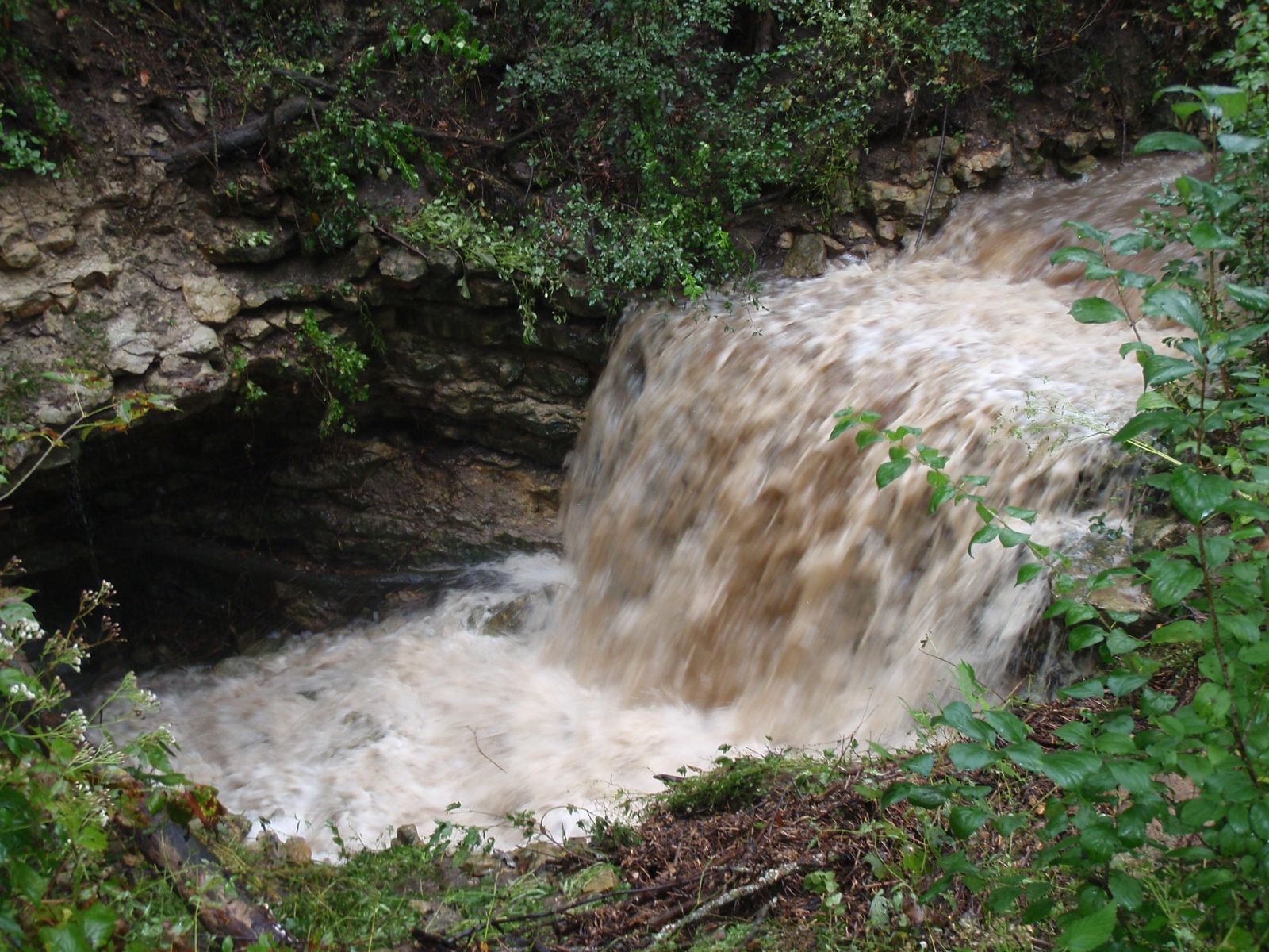 Goliath's Cave near Cherry Grove, Minn., floods in wet weather.></strib><h3><strong>Goliath's Cave</strong></h3><p id=