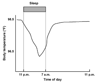 Body temperature cycle