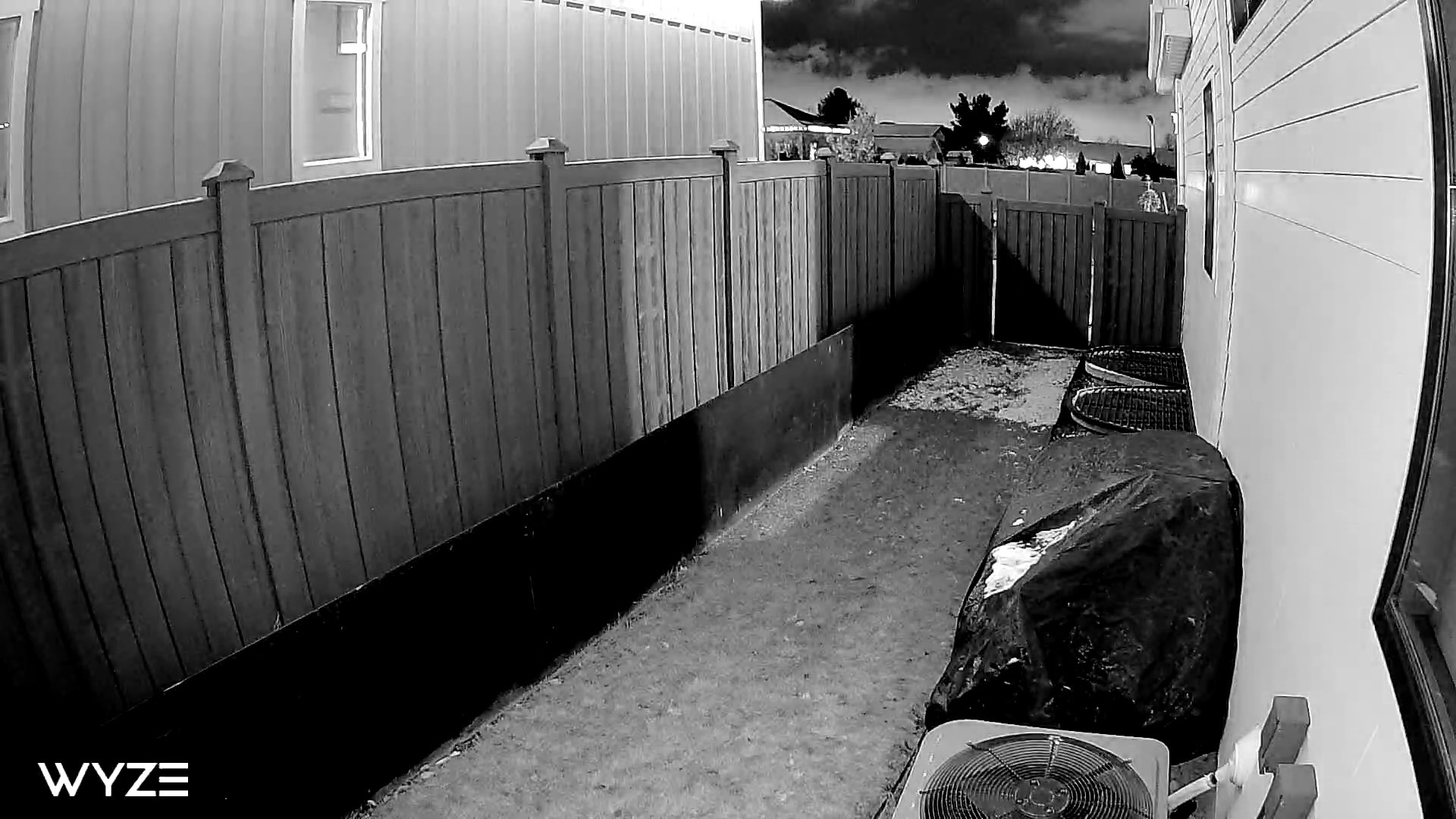 Black and white night mode footage captured on a Wyze security camera.