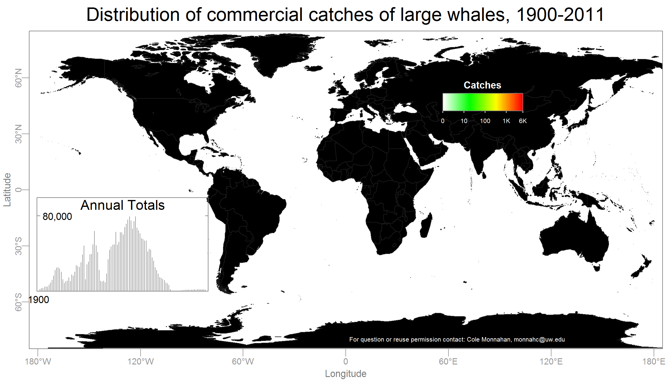 global animation of whales