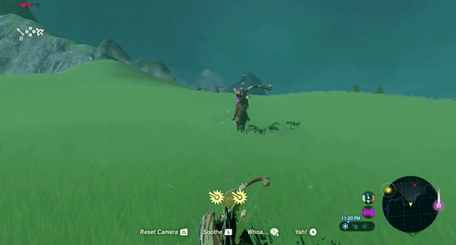 Bokoblin collides with keese.