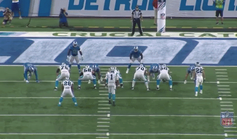 GIF of Carolina Panthers quarterback Cam Newton passing to Christian McCaffrey for a touchdown