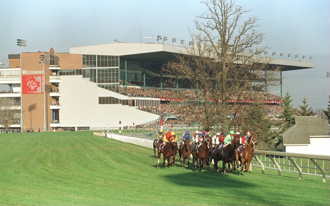 This is the only picture I could find of the Woodbine grandstand. Yeah, it's a turf race. What ya gonna do?