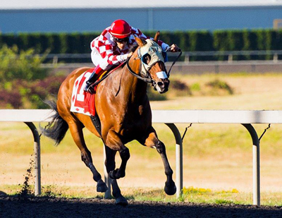 Herbie D, who could become the second straight B.C.-bred to win the race, was assigned 121 lbs for the $200,000 Longacres Mile (G3) on Sunday, August 18.