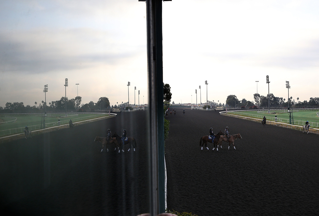 INGLEWOOD, CA - DECEMBER 21: Horses run along the backstretch during morning workouts at Betfair Hollywood Park on December 21, 2013 in Inglewood, California.