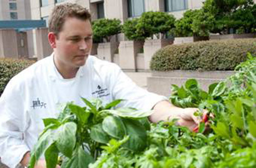 Park 75 Executive Chef Robert Gerstenecker working in the garden at The Four Seasons Atlanta. Photo by Cliff Robinson.