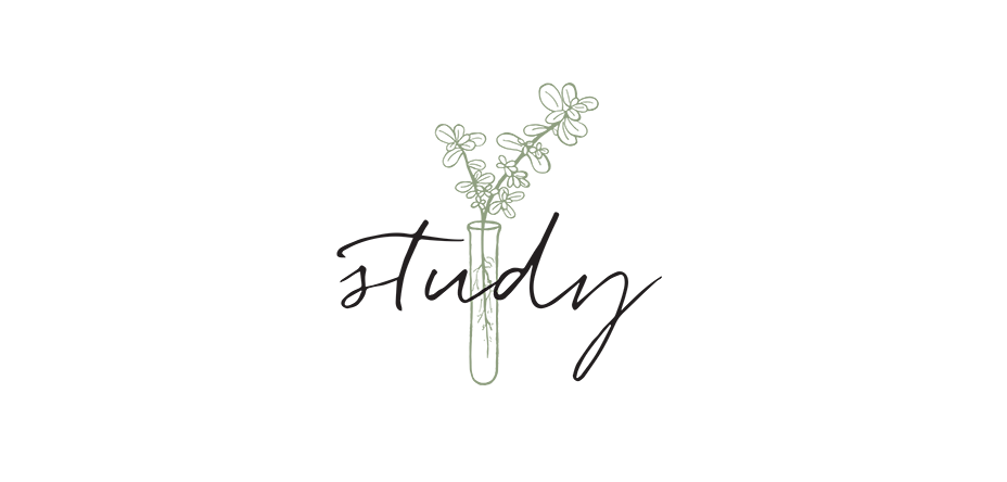 Study logo