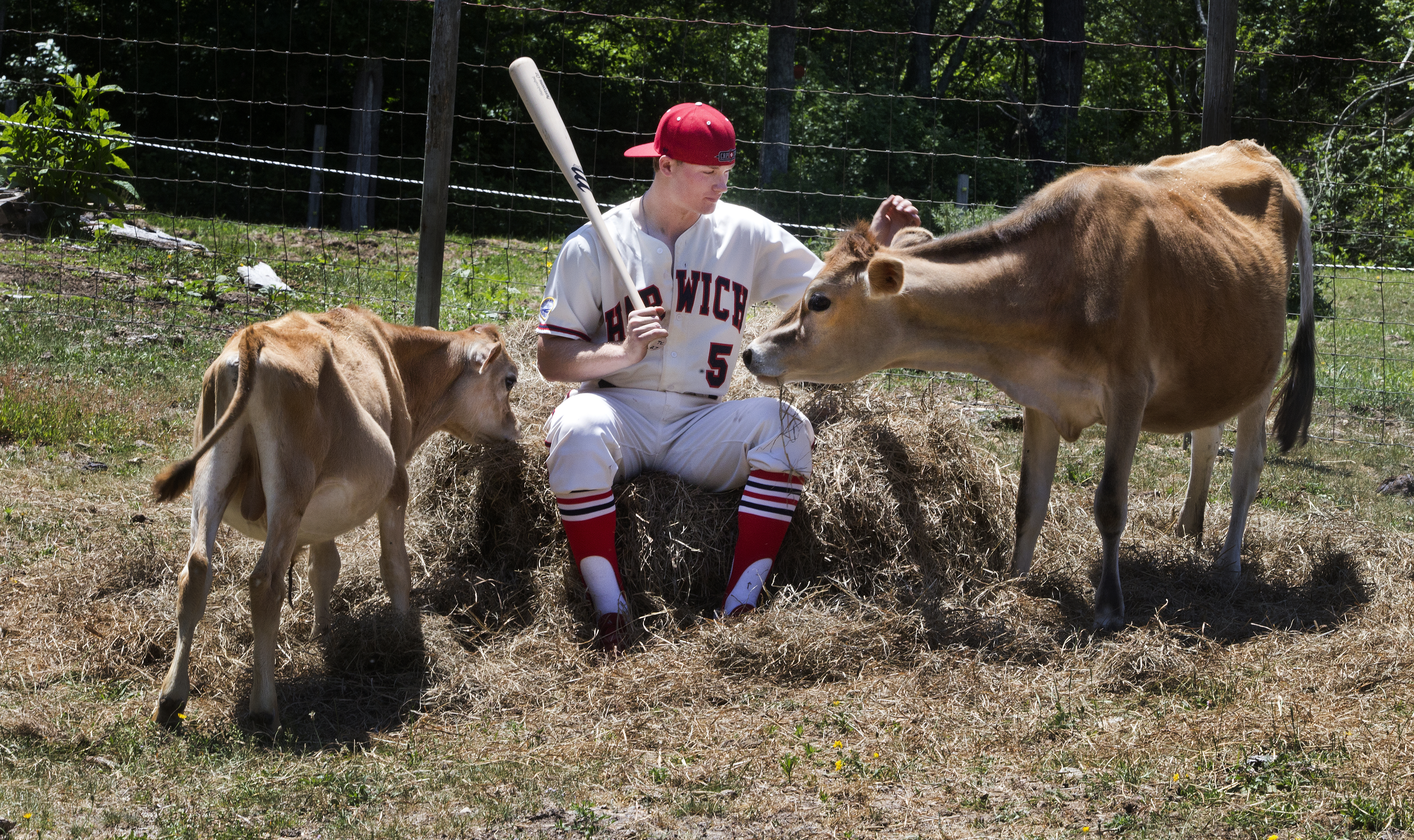Ian Happ is a possible Cubs No. 1 pick. The cows aren't included