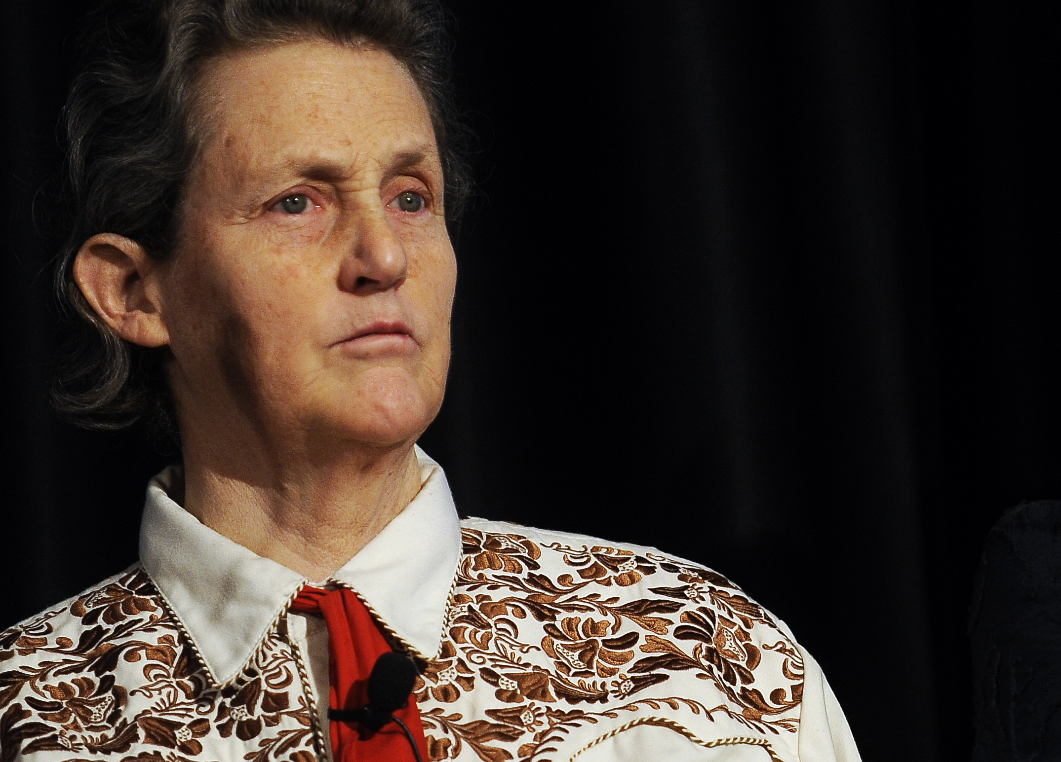 Temple Grandin in 2011