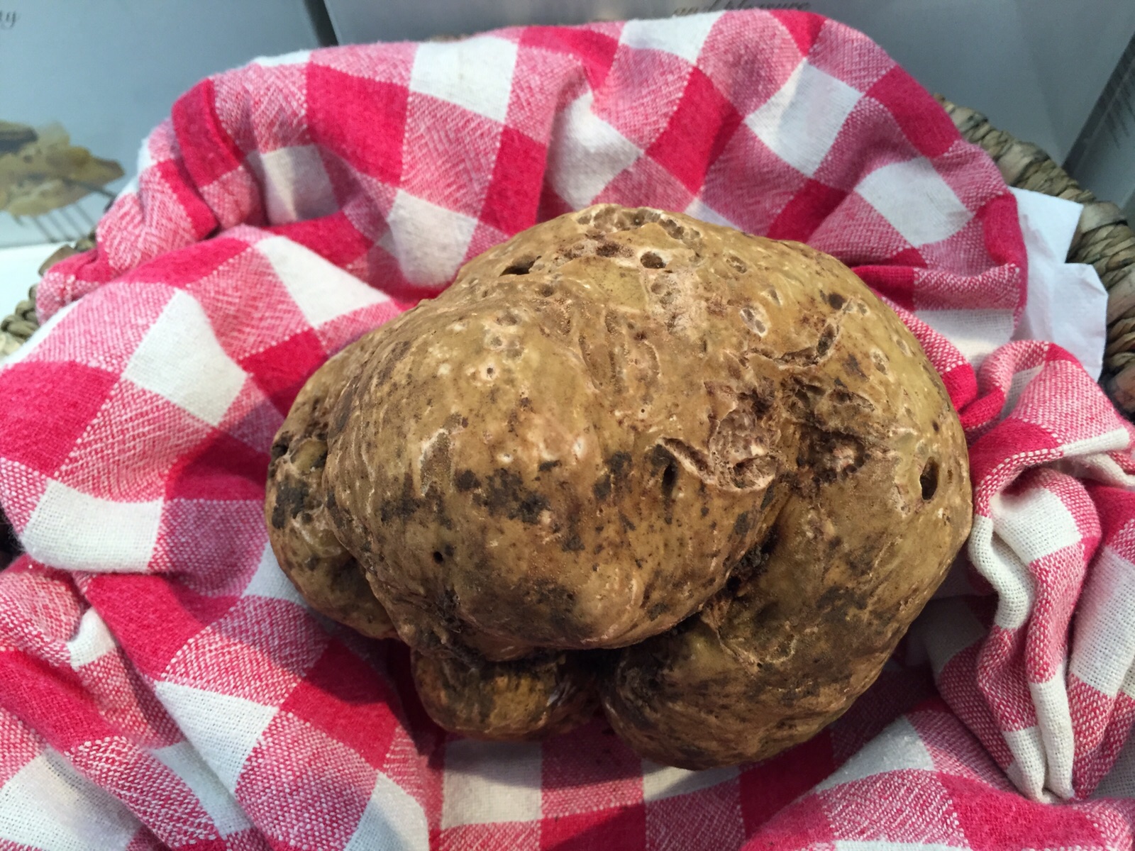 This white truffle from Alba, Italy is 1.25 pounds.