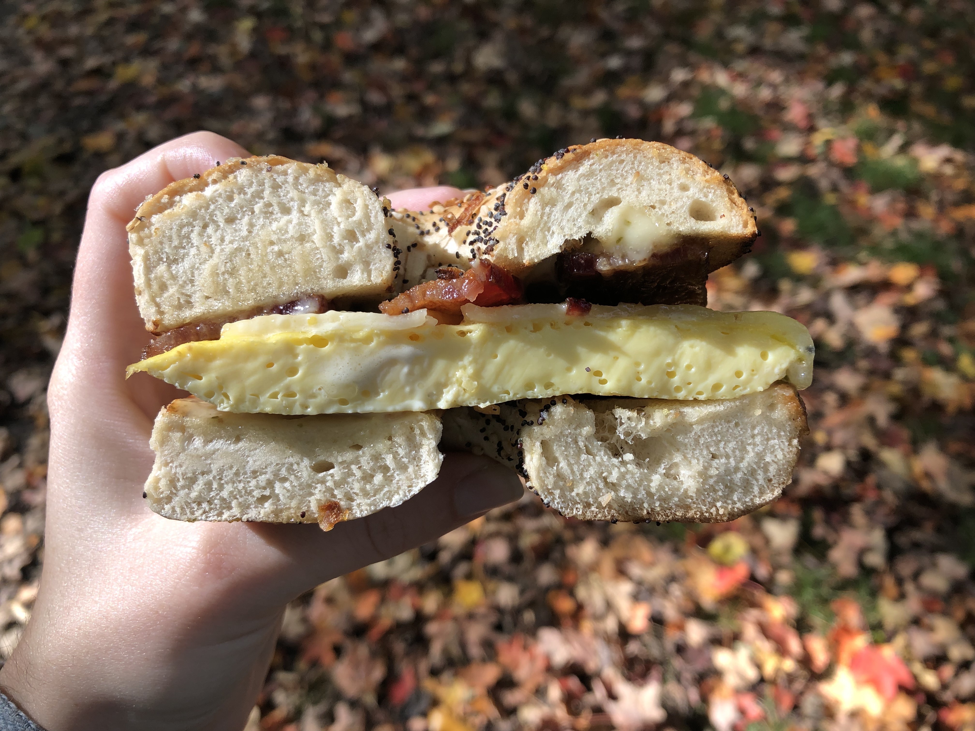 A hand holds one half of a bagel breakfast sandwich with egg and bacon visible.