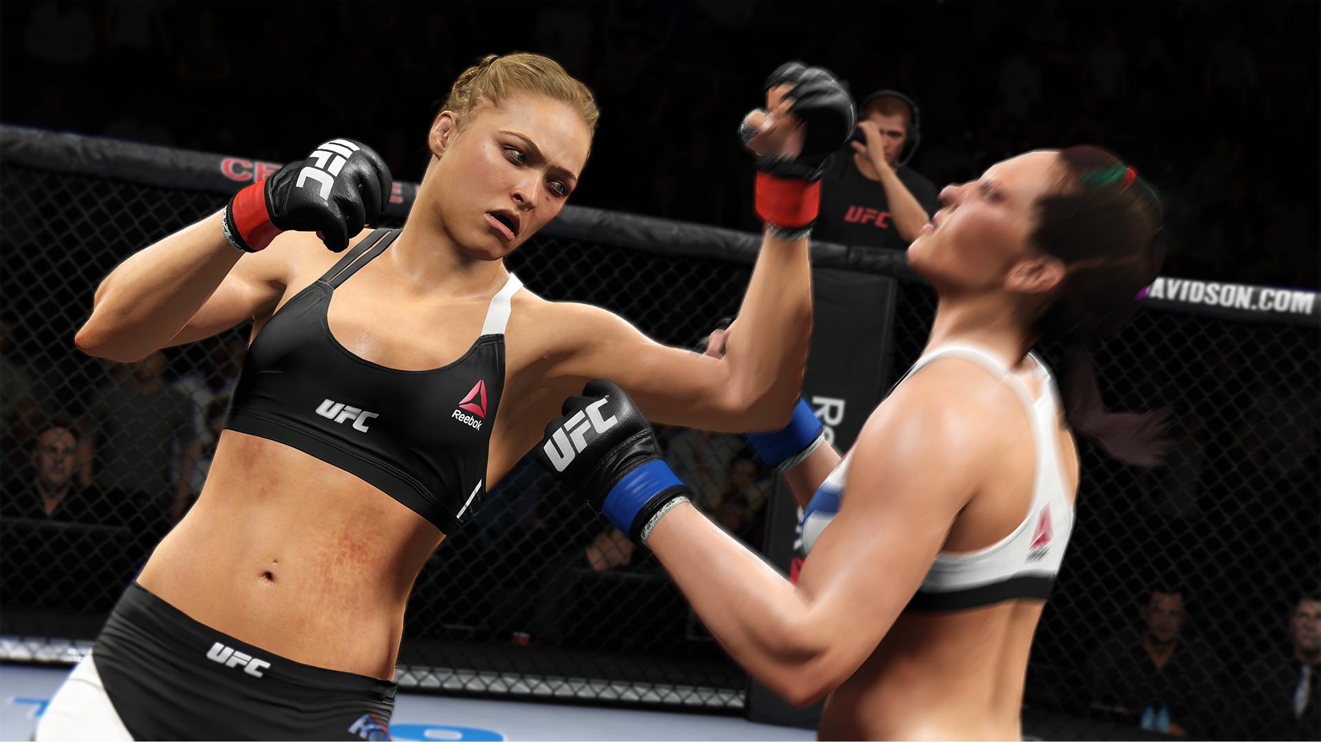 Image result for EA Sports UFC