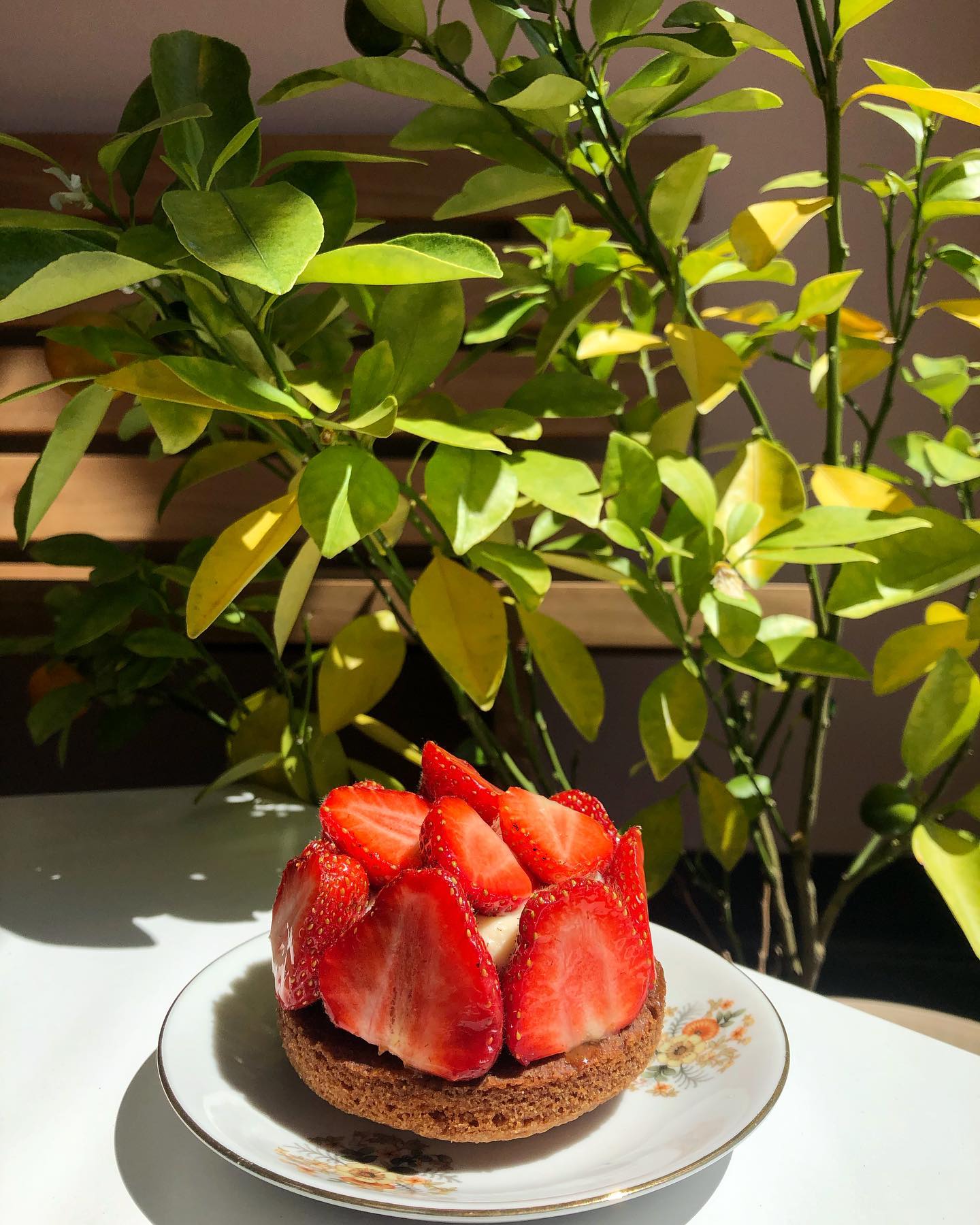 strawberry tart with leafy green background