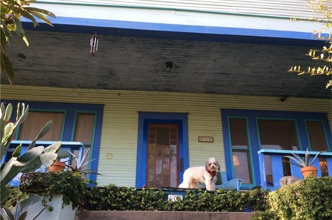 Arts &amp; crafts porch of green house with blue trim, what looks like a bichon frise standing on the railing