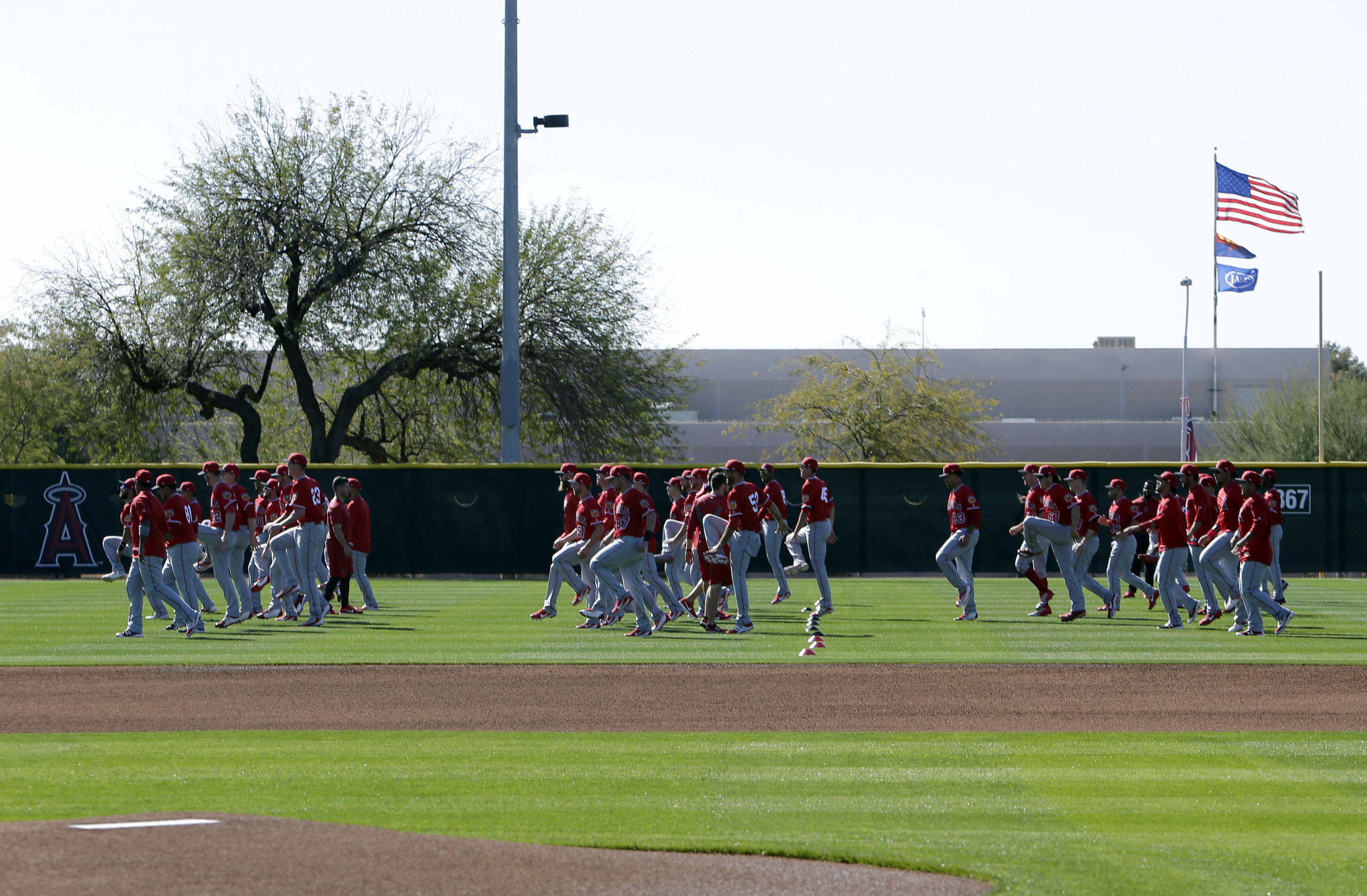 MLB: Los Angeles Angels-Workouts