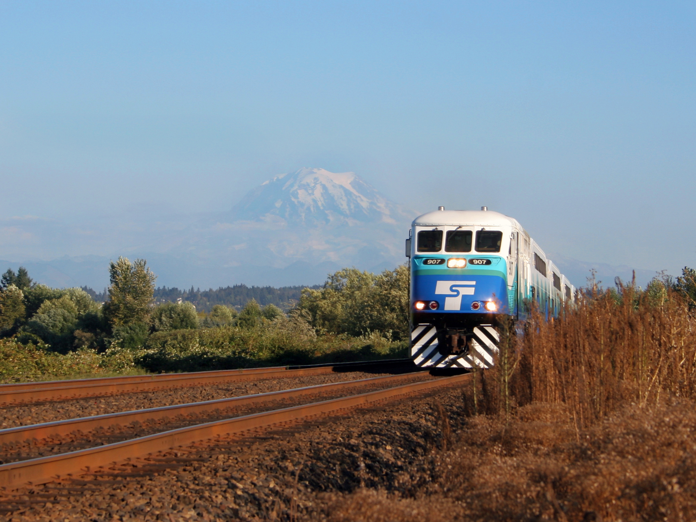 On a sunny day, a blue-and-white train runs on tracks amid low foliage with a view of a mountain in the background.