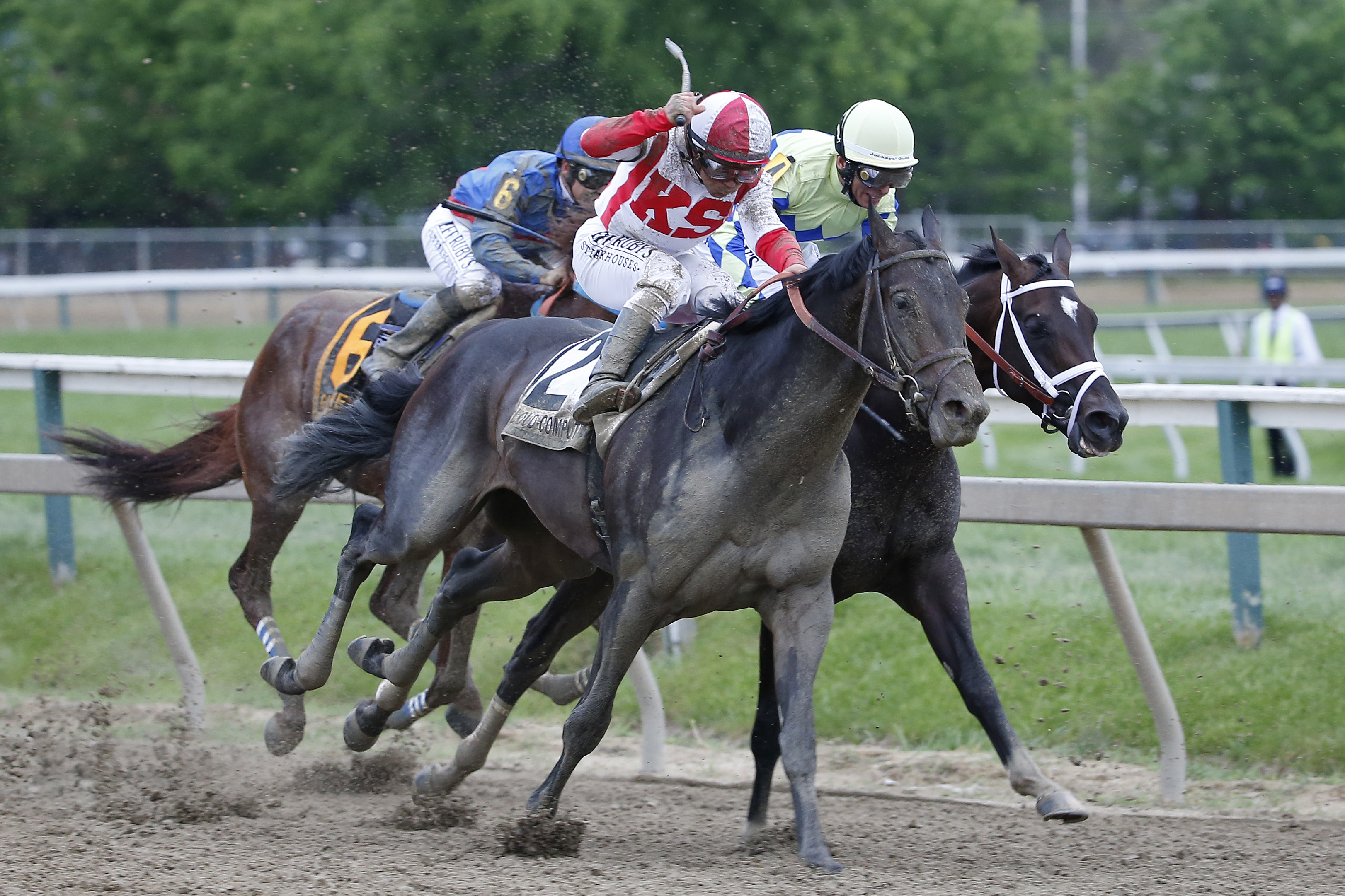Horse Racing: 142nd Preakness Stakes