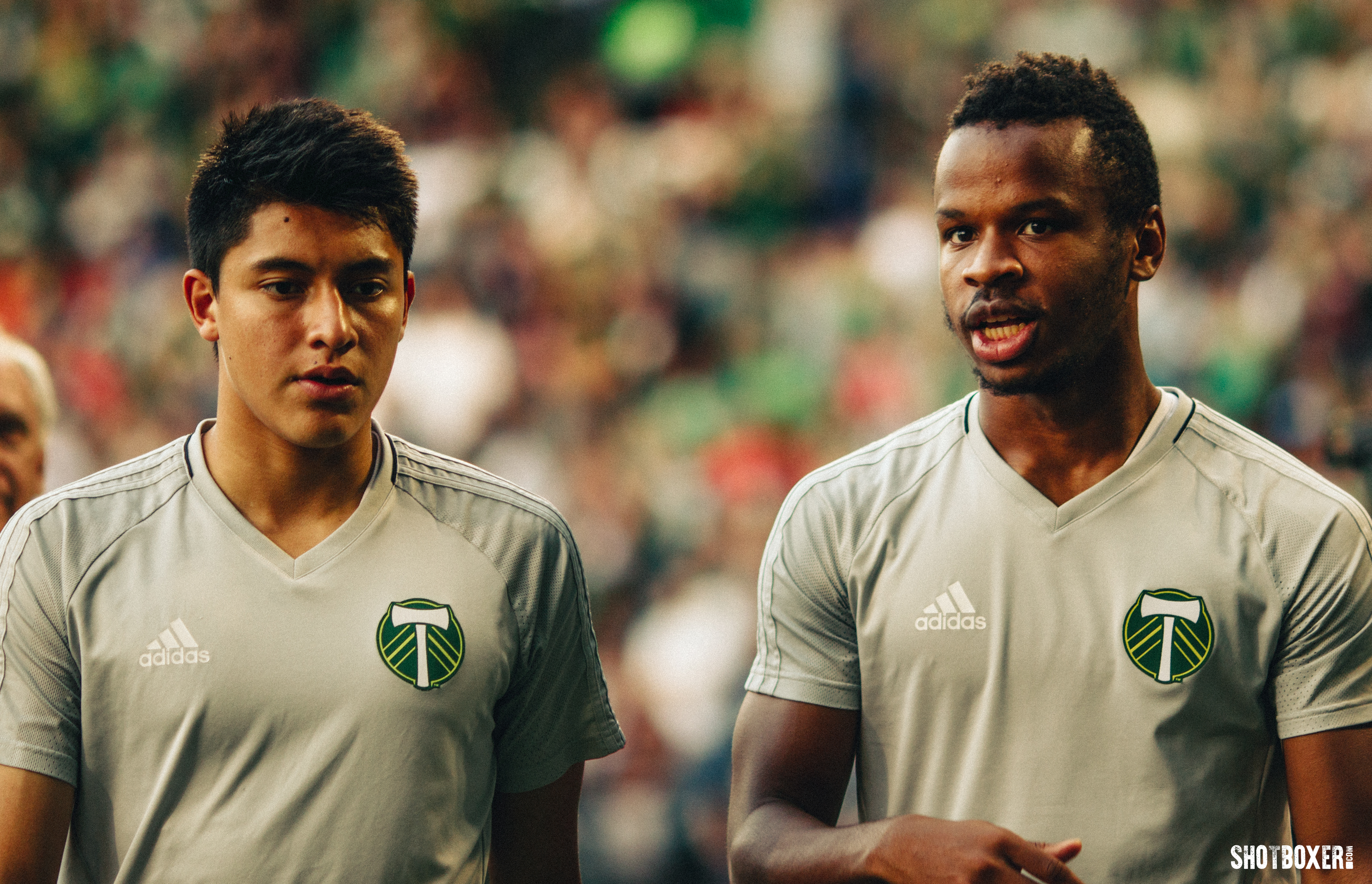 Match Gallery: Portland Timbers vs. Seattle Sounders