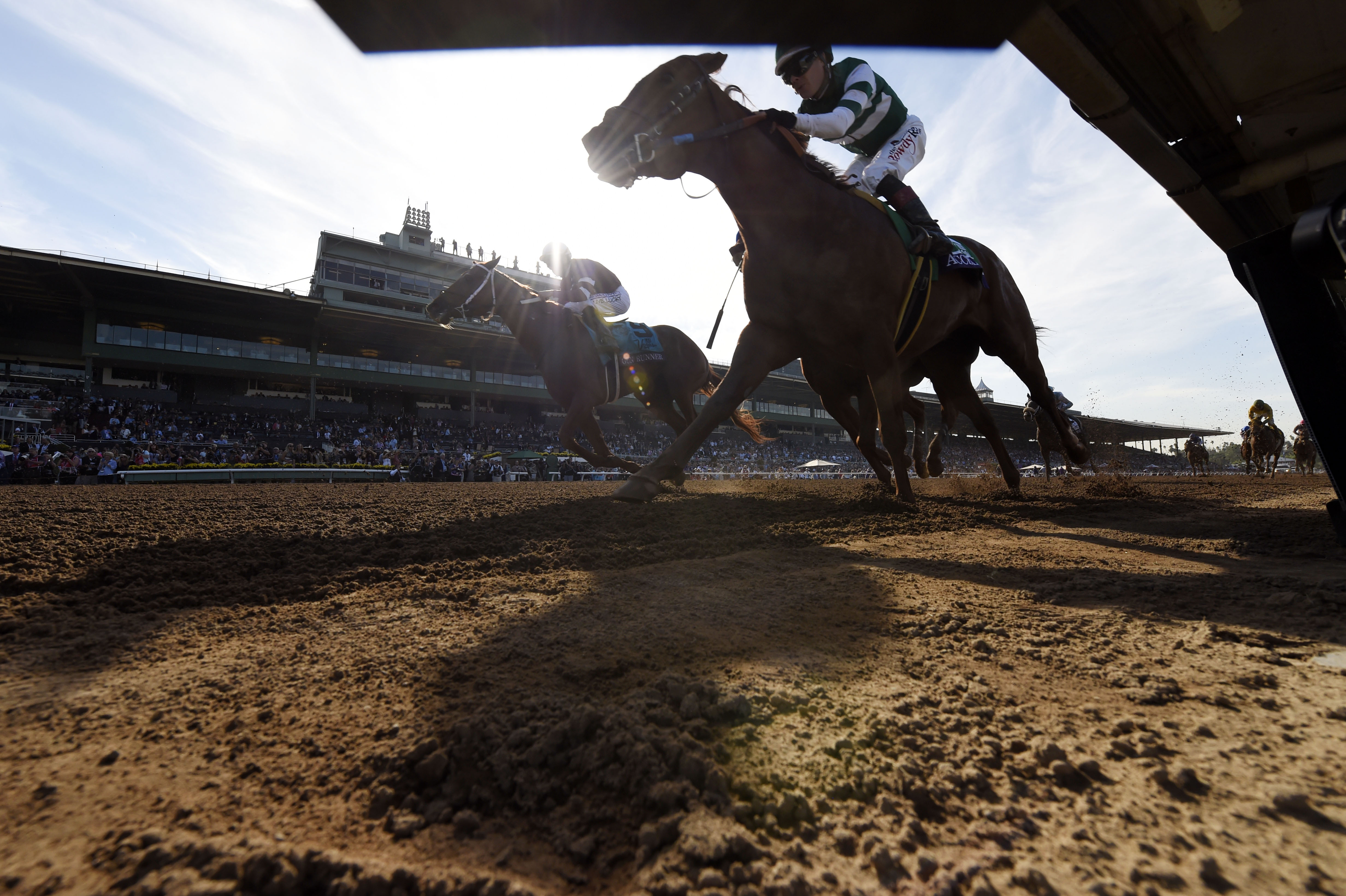 Horse Racing: 33rd Breeders Cup World Championships