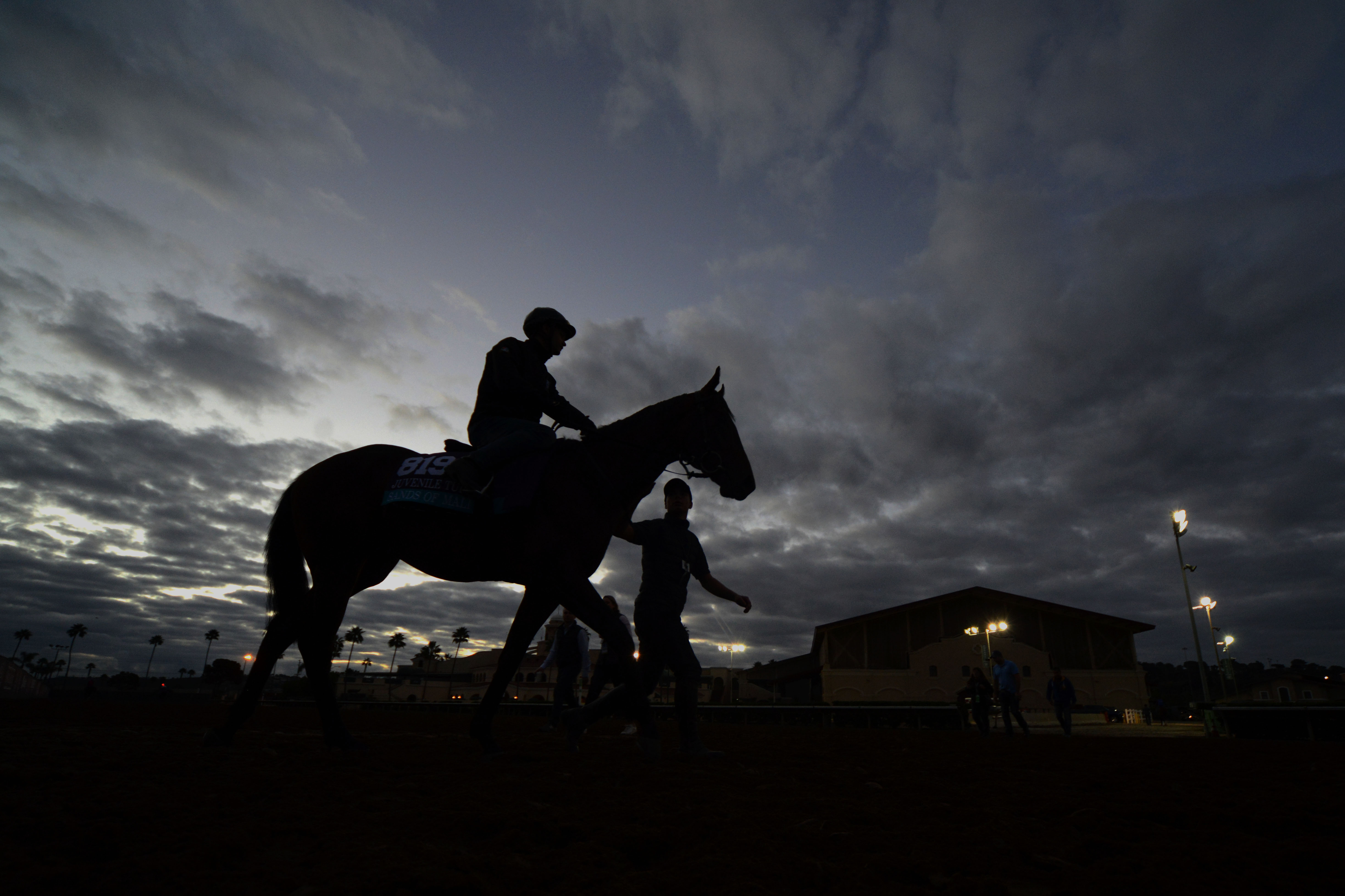 Horse Racing: 34th Breeders Cup-Workouts