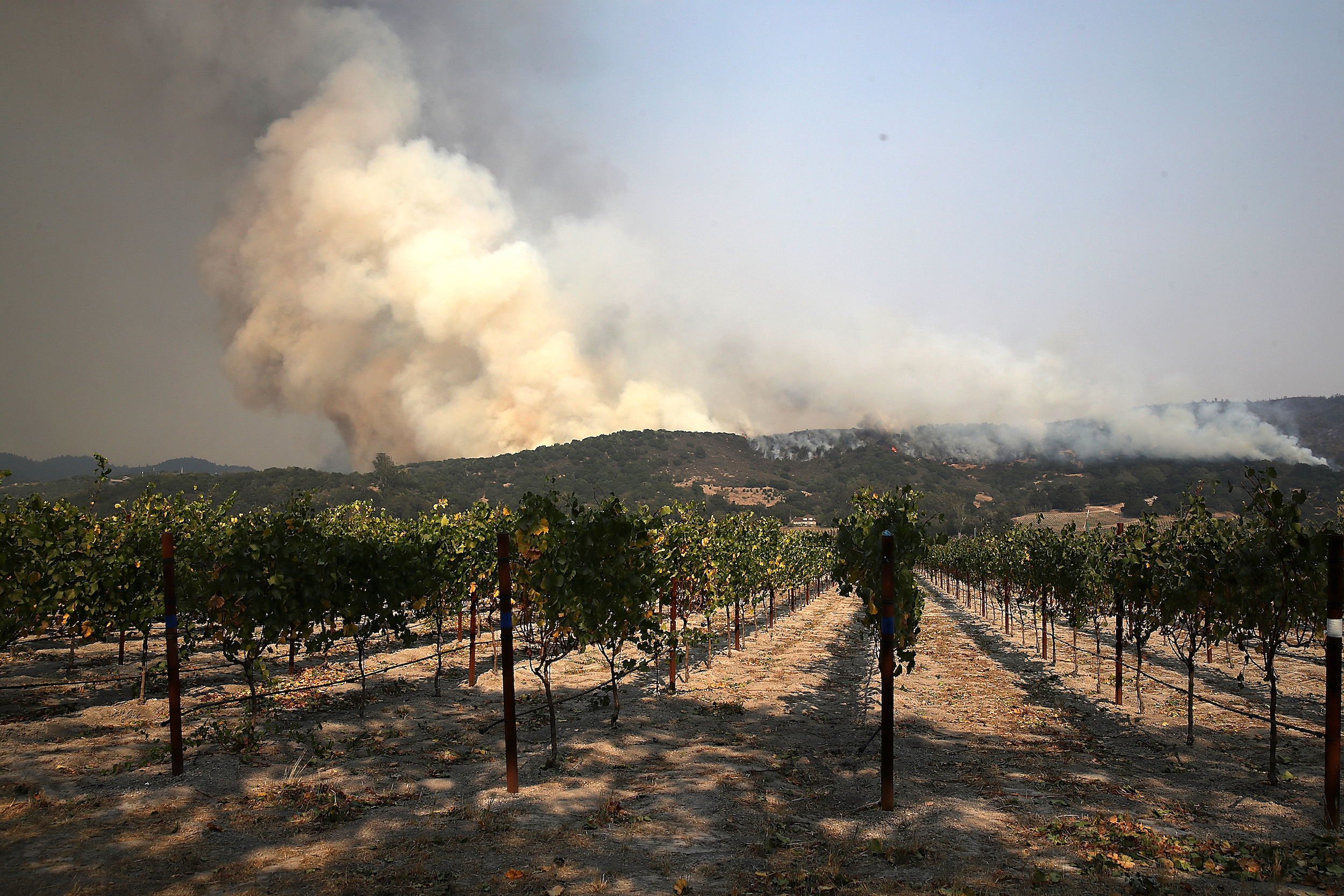 SONOMA, CA - OCTOBER 09:  An out of control wildfire approaches Gundlach Bundschu winery on October 9, 2017 in Sonoma, California. Ten people have died in wildfires that have burned tens of thousands of acres and destroyed over 1,500 homes and businesses in several Northen California counties.  (Photo by Justin Sullivan/Getty Images)