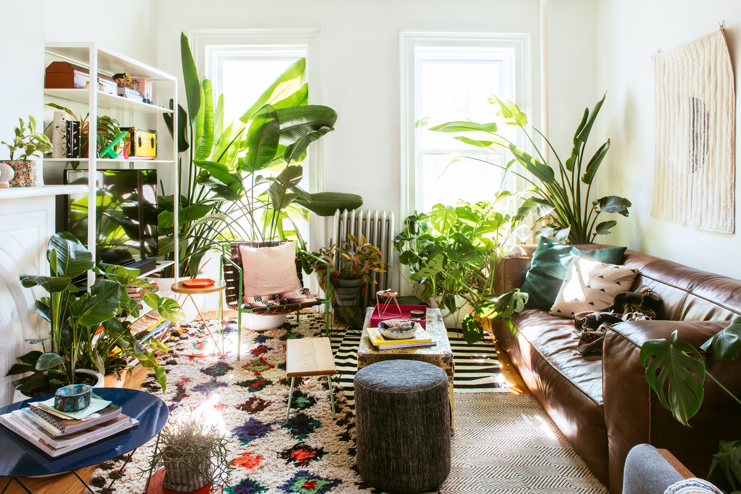 Living room with two windows, brown sofa, patterned carpet, and lots of plants. 