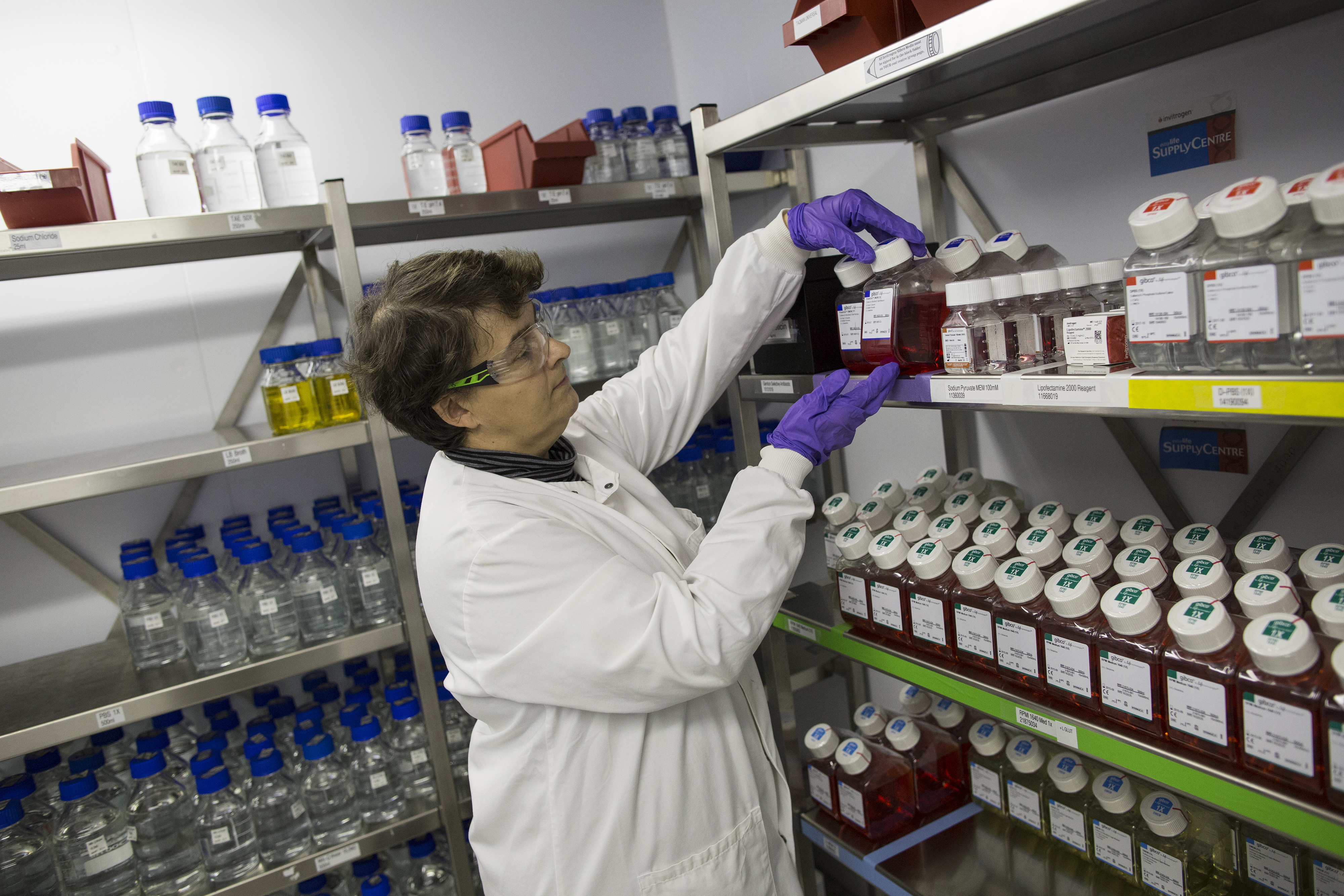 A scientist checks laboratory supplies in a storage closet.