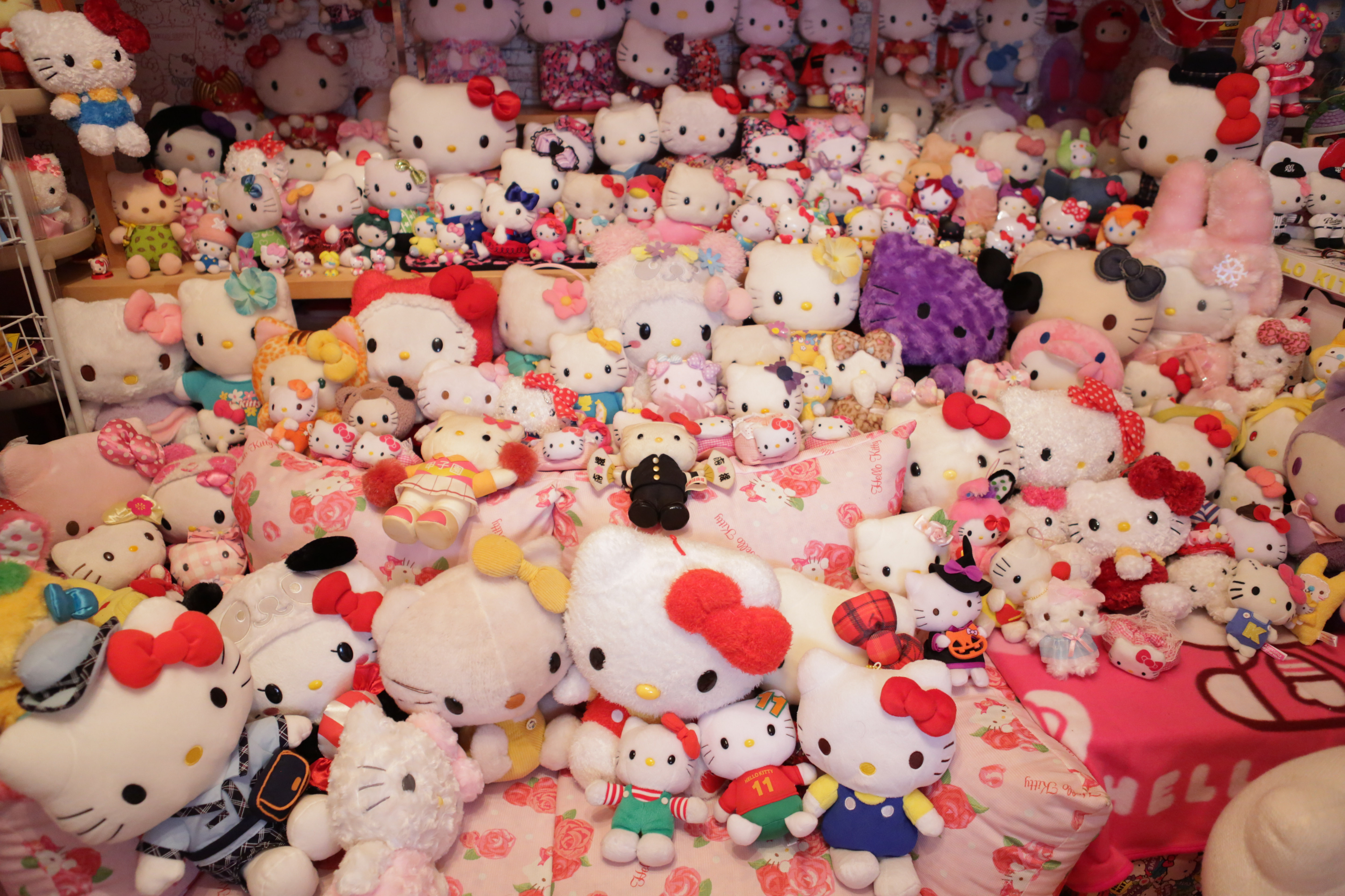 Retired Japanese Policeman Seaks Solace In World’s Biggest Hello Kitty Collection