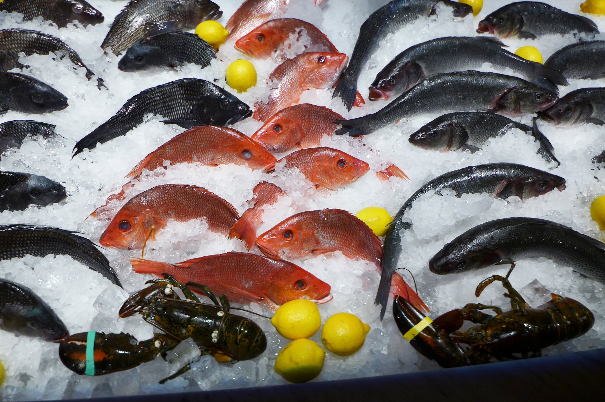 Your choice of whole fish at Kyma includes five species.