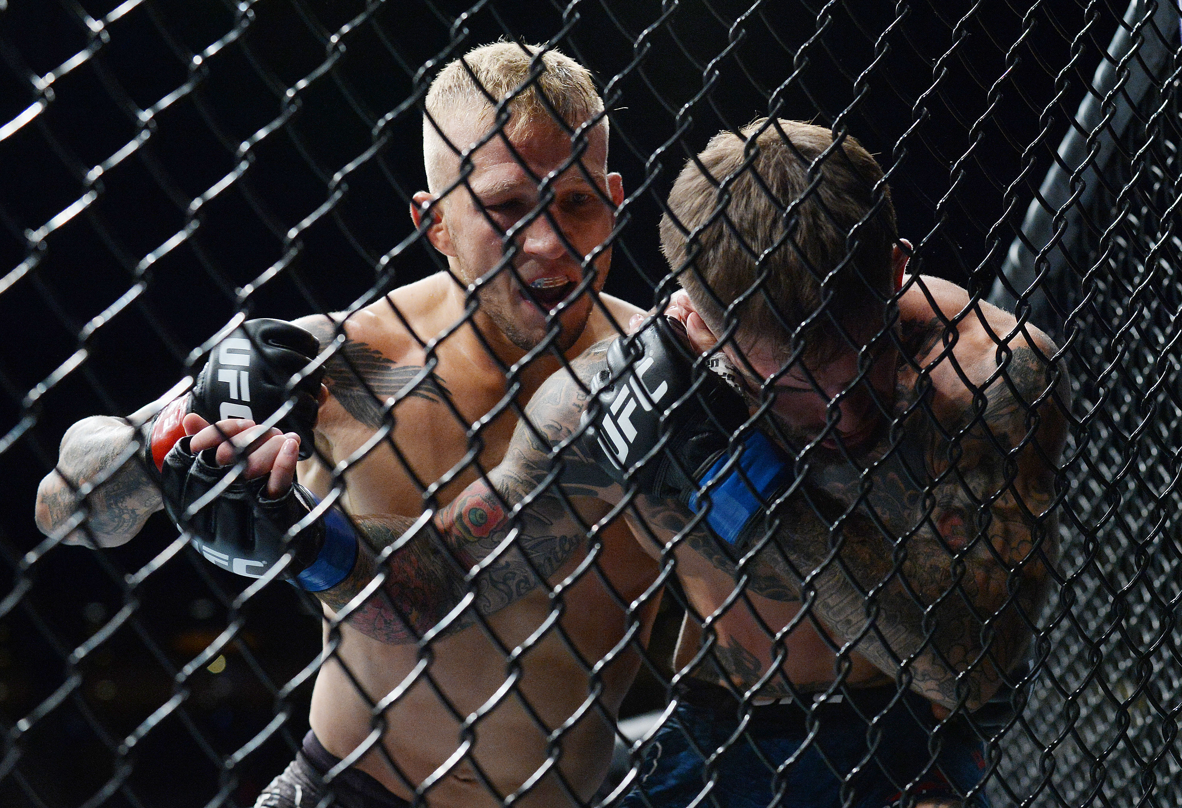 MMA: UFC 227-Dillashaw vs Garbrandt