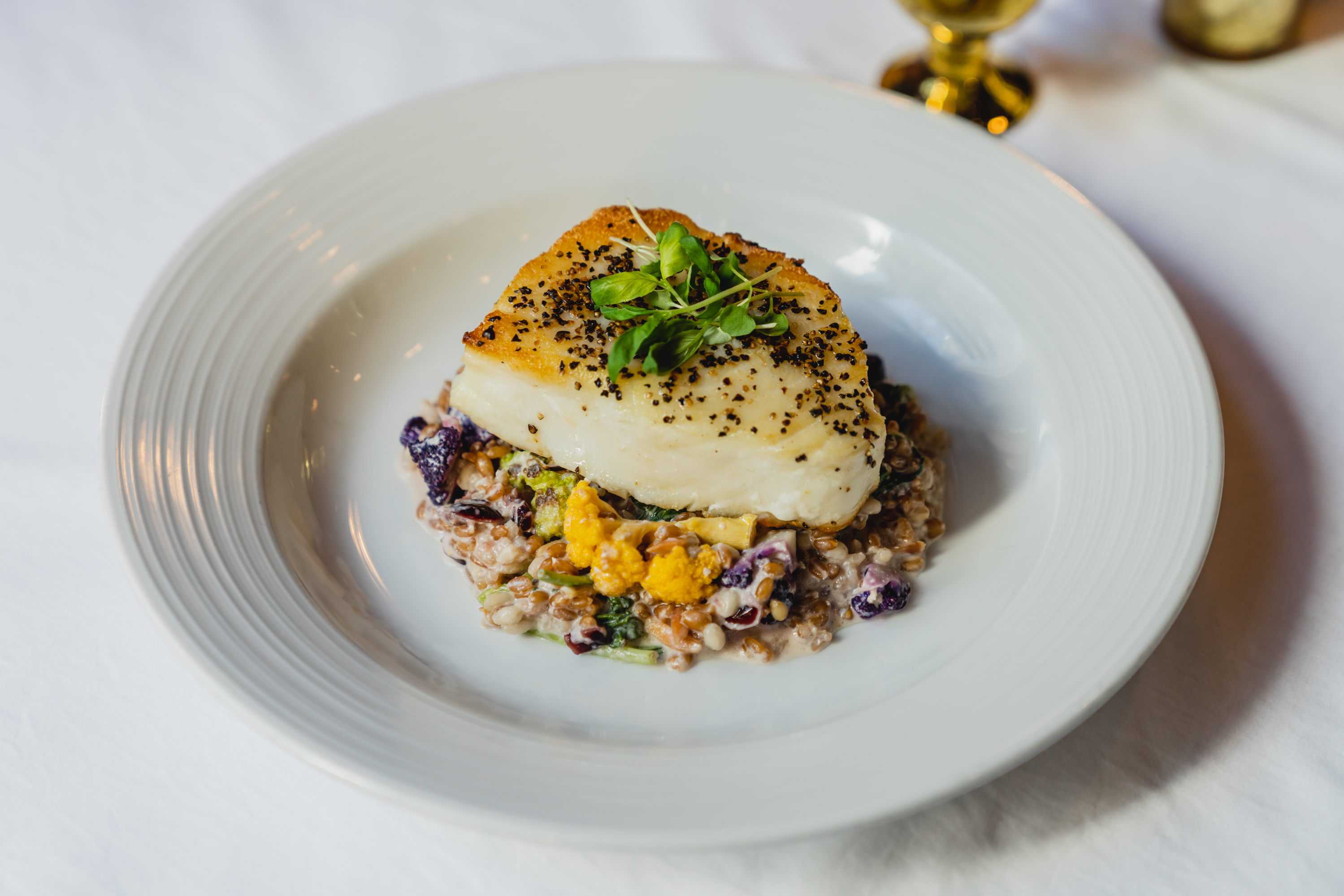 A plate of a seared white fish fillet on top of grains. 