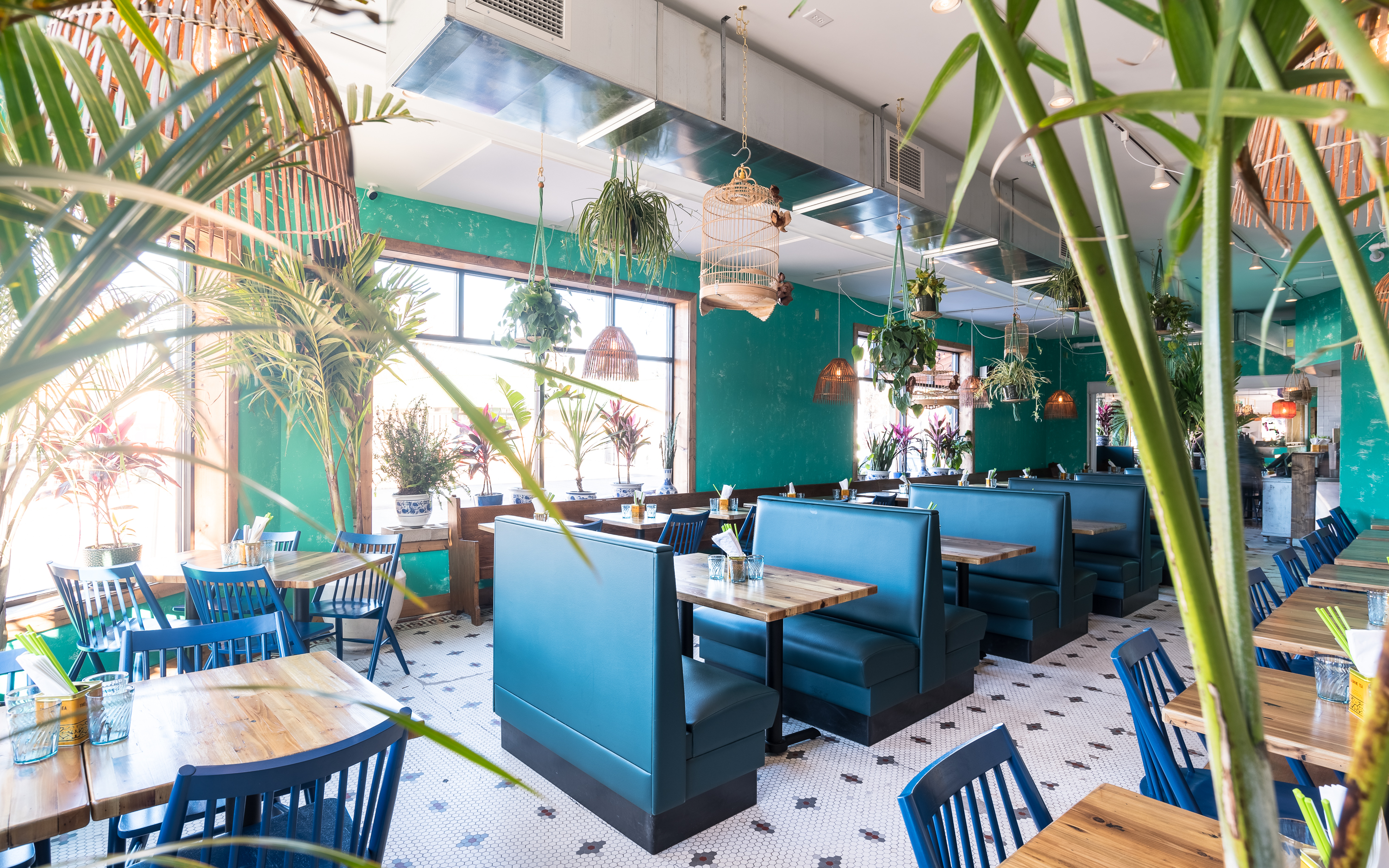 The brightly colored blue interior of Hai Hai, decorated with palm tree plants