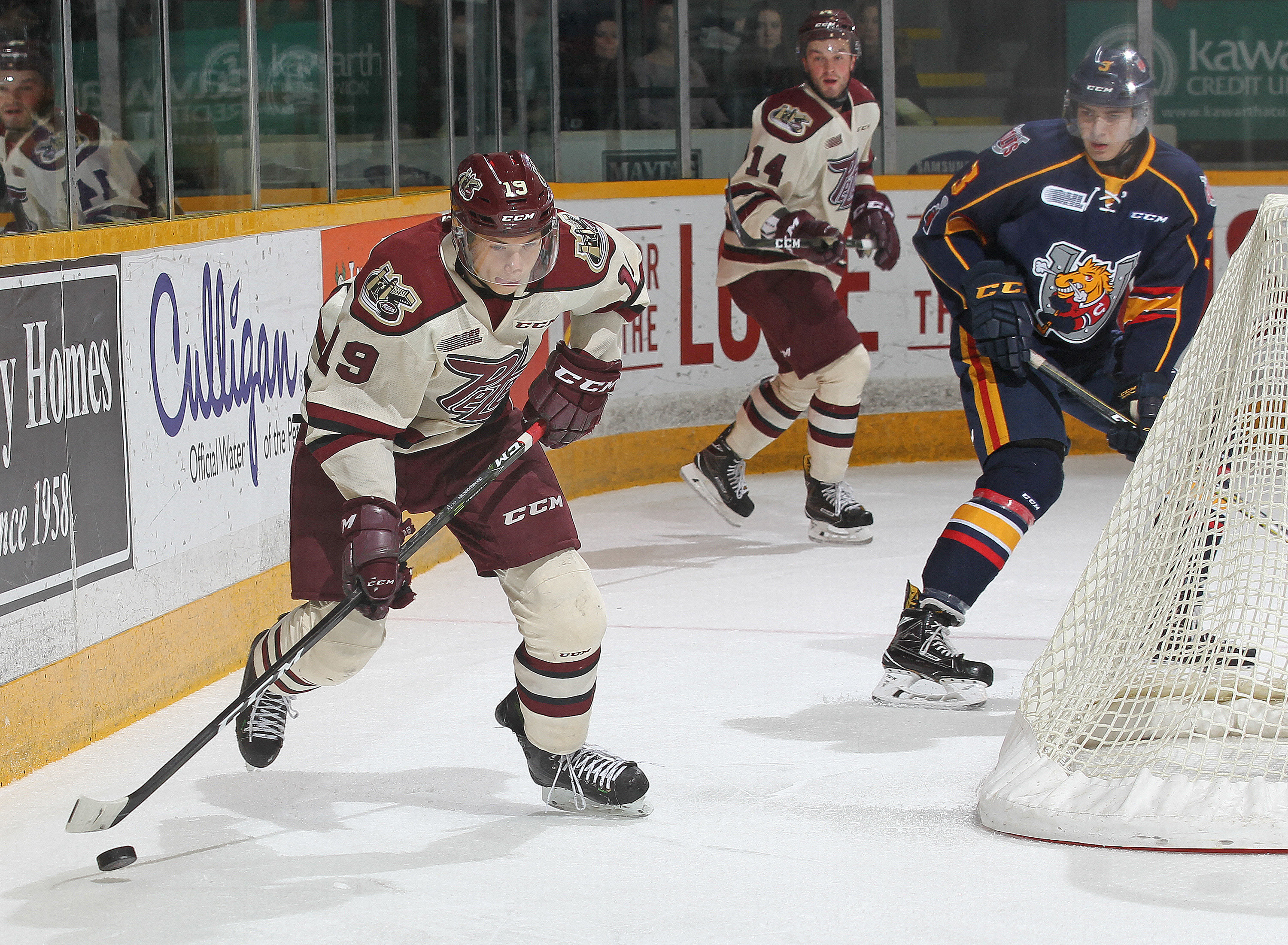 Barrie Colts v Peterborough Petes