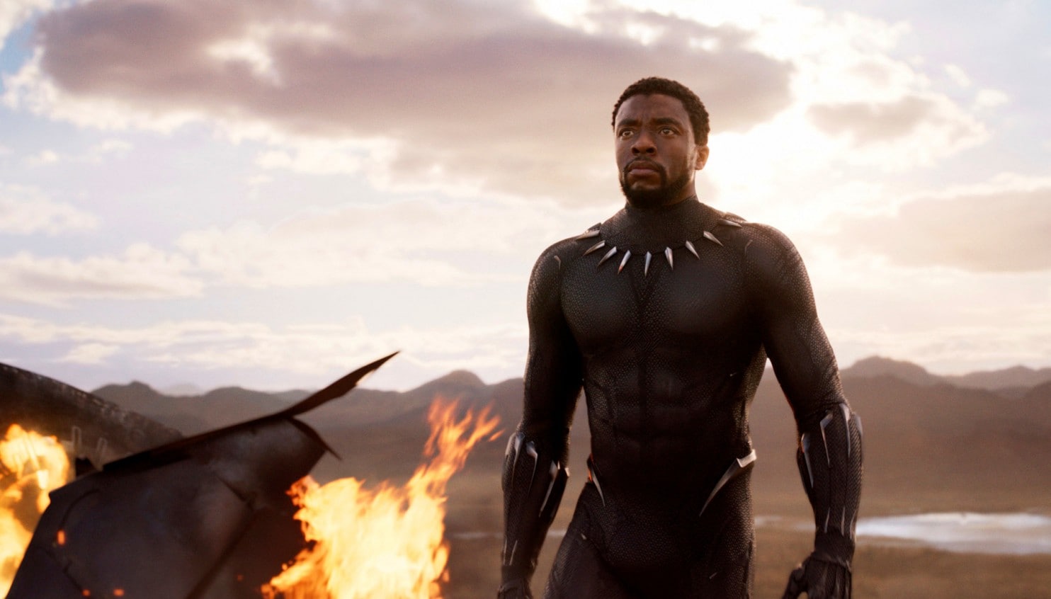 Black Panther walks through burning wreckage