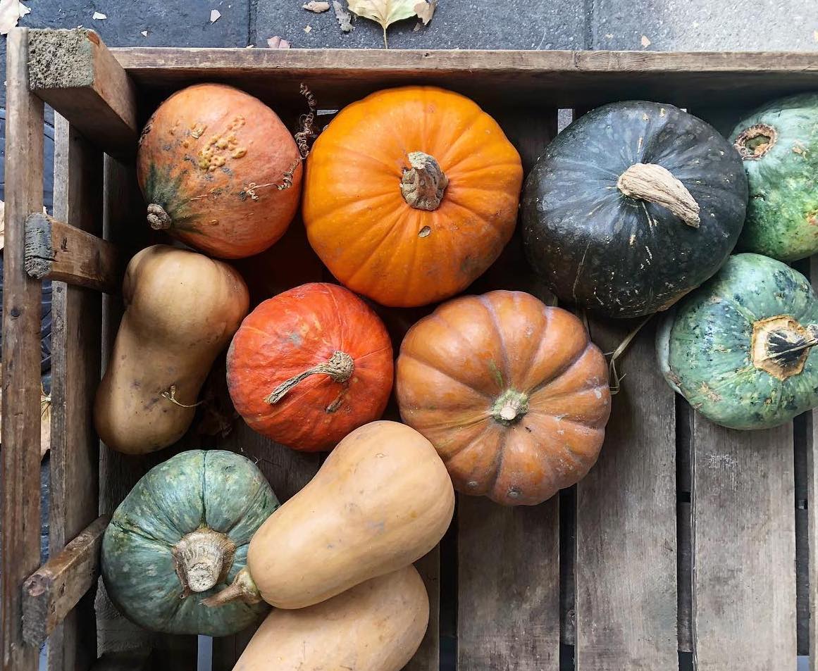 Halloween means pumpkins on London restaurant Instagram