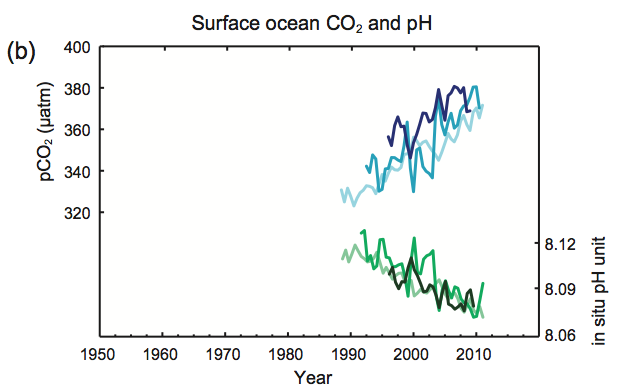 IPCC -- Ocean acidification