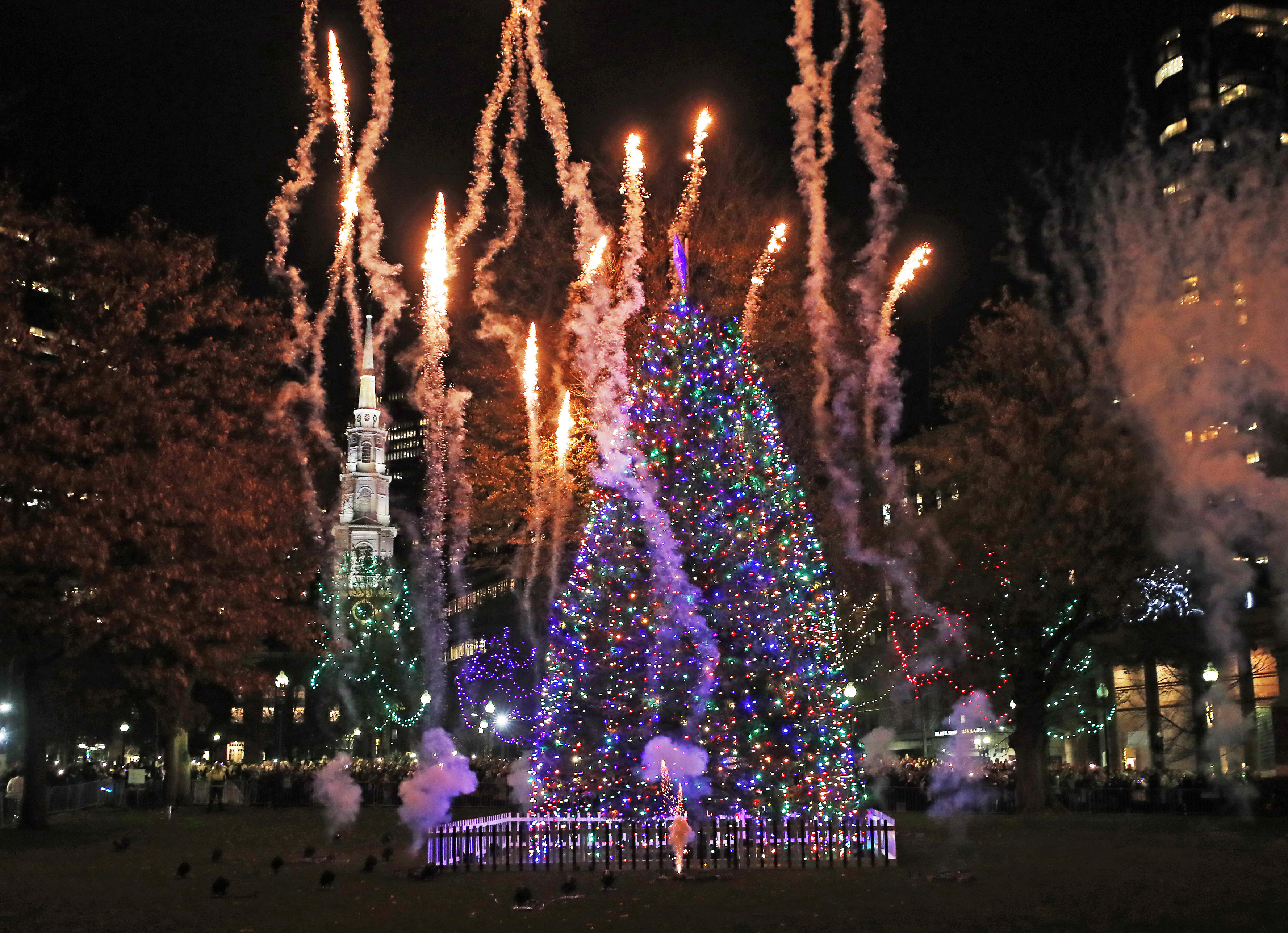 The 80th annual Christmas tree lighting event was held on the Boston Common on December 2, 2021. As it was lit, the tree was surrounded by fireworks at the conclusion of the event.