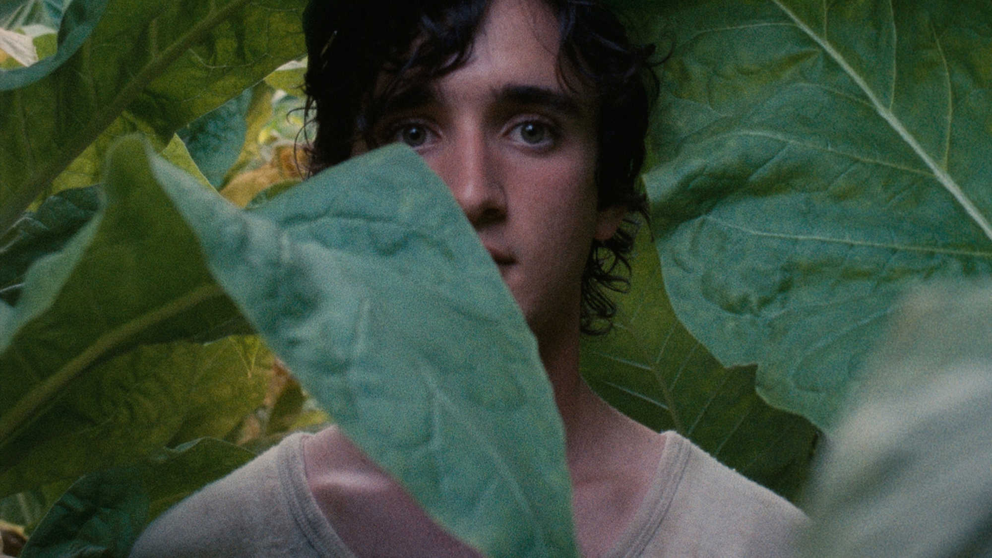 Adriano Tardiolo stars in Happy As Lazzaro, which is now on Netflix.